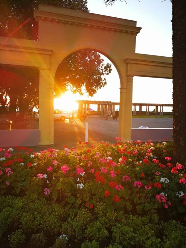 Napier: Shore Excursion with Wine Tasting and Platter - Introduction: Why This Tour Works