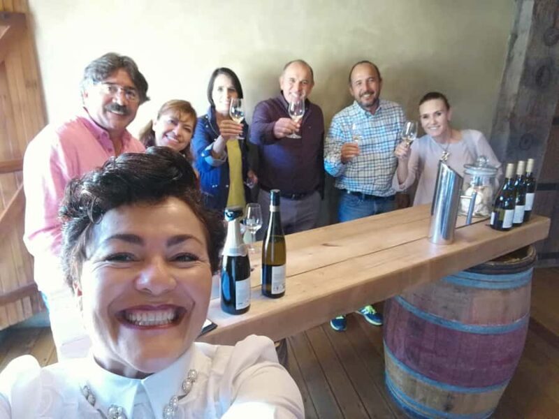 Napier: Shore Excursion with Wine Tasting and Platter - Practical Details & Experience Quality