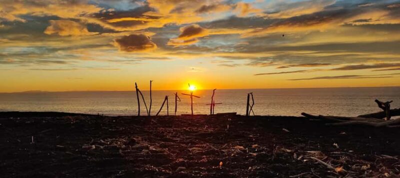 Napier: Shore Excursion with Wine Tasting and Platter - The Sum Up: Who Will Love This Tour?