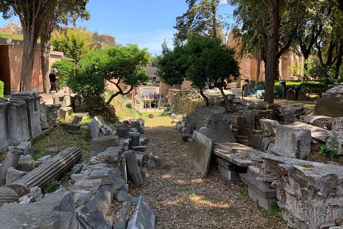 naples-and-phlegraean-fields-the-area-of-the-volcanoes
