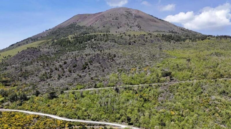Naples: E-Bike Rental on Mount Vesuvius - Key Points