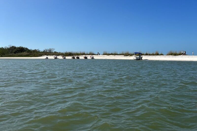 naples-fl-manatee-dolphin-10000-islands-beach-eco-tour