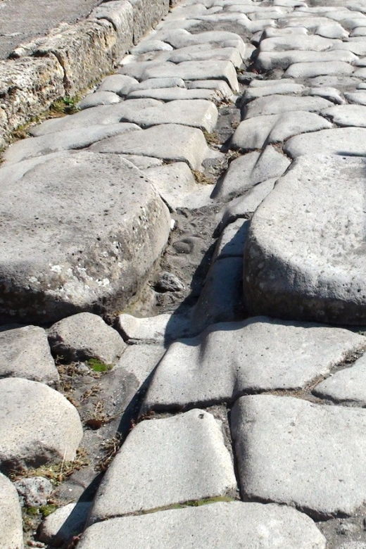 naples-full-day-pompeii-herculaneum-wine-tasting-tour