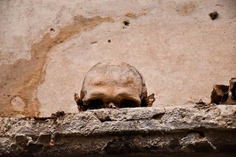 Naples: Guided city tour with access to the catacombs - Who Will Love This Tour?