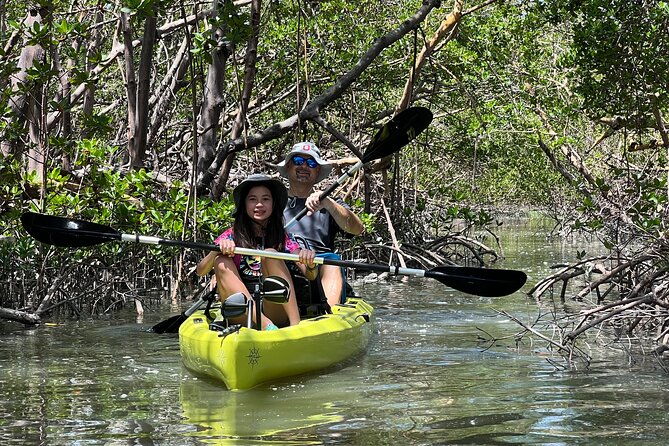 naples-guided-sunset-kayak-tour-activity