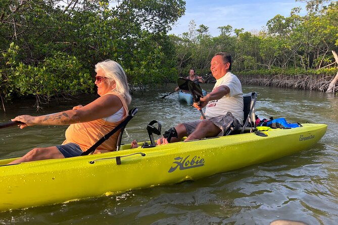 naples-guided-sunset-kayak-tour-activity