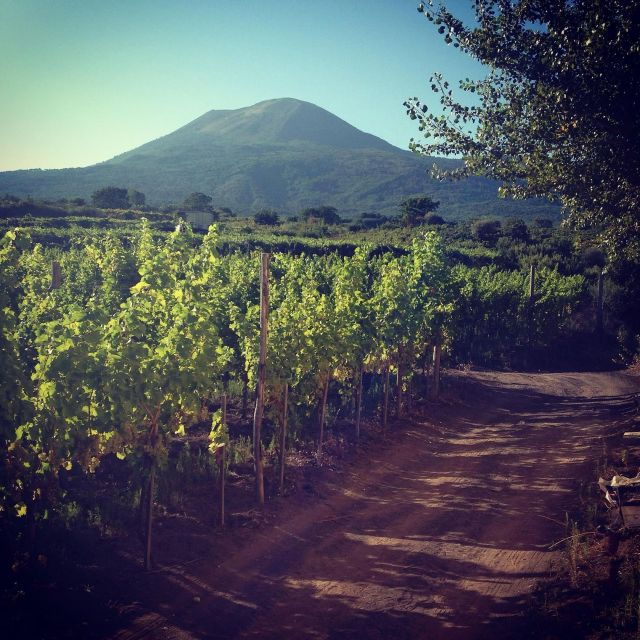 naples-mount-vesuvius-vineyard-tour-w-lunch-wine-tasting
