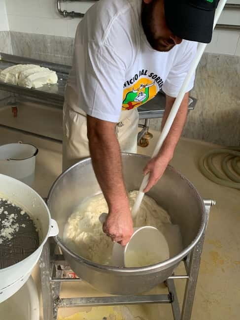 Naples: Mozzarella Experience, Taste of Southern Italy - Practical Details and Logistics