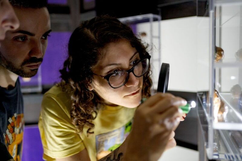 naples-museodivino-entrance-ticket-and-guided-tour