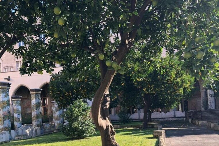 naples-panoramic-private-tour-from-naples