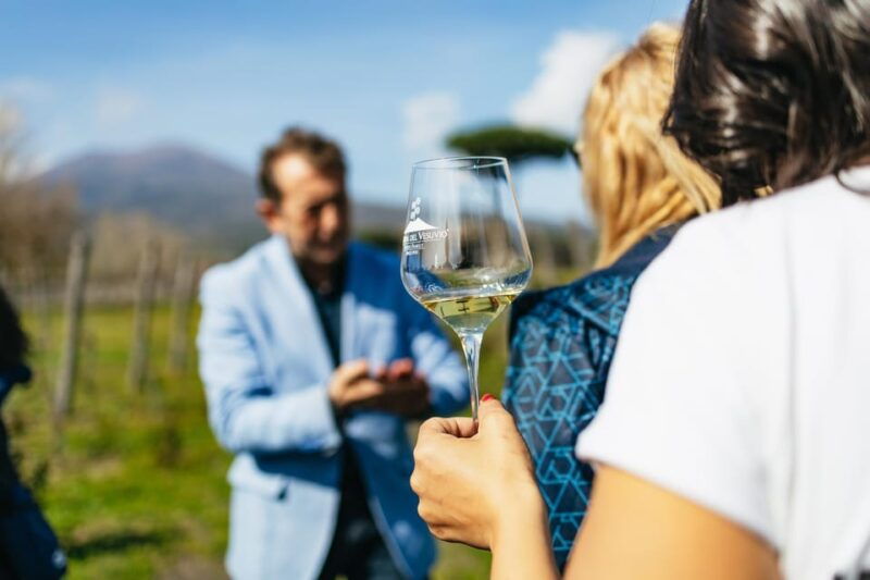 naples-pompeii-and-mt-vesuvius-with-lunch-and-wine-tasting