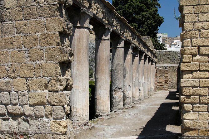 Naples: Pompeii, Herculaneum, and Vesuvius Tour by Minivan - Frequently Asked Questions
