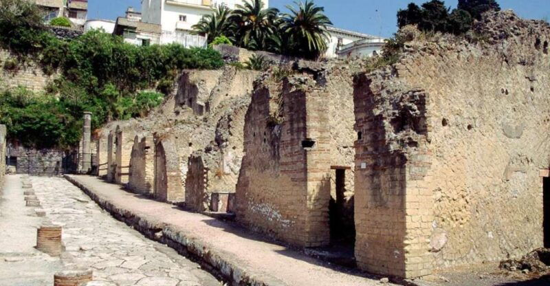 naples-pompeii-herculaneum-and-vesuvius-tour-by-minivan