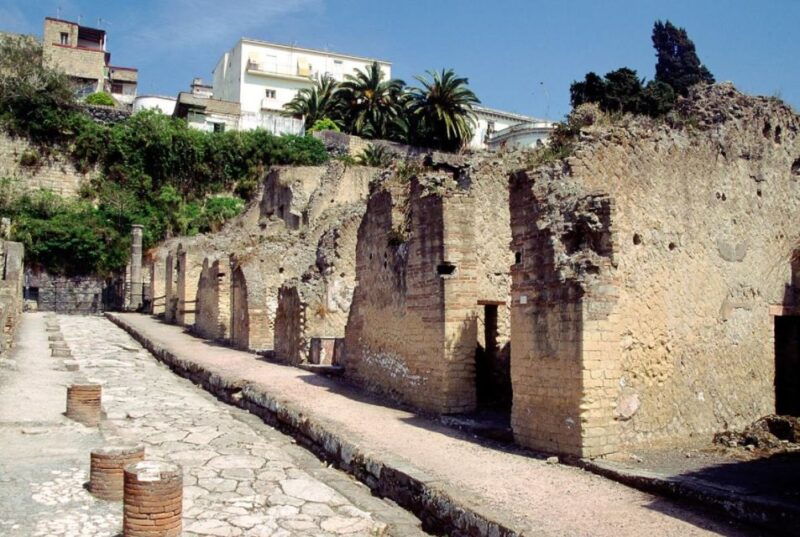 naples-pompeii-herculaneum-and-vesuvius-tour-by-minivan