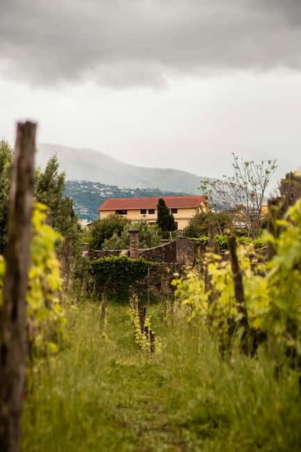 Naples: Pompeii & Herculaneum Shared Regular Group Tour - Herculaneum: The Well-Preserved Roman Town