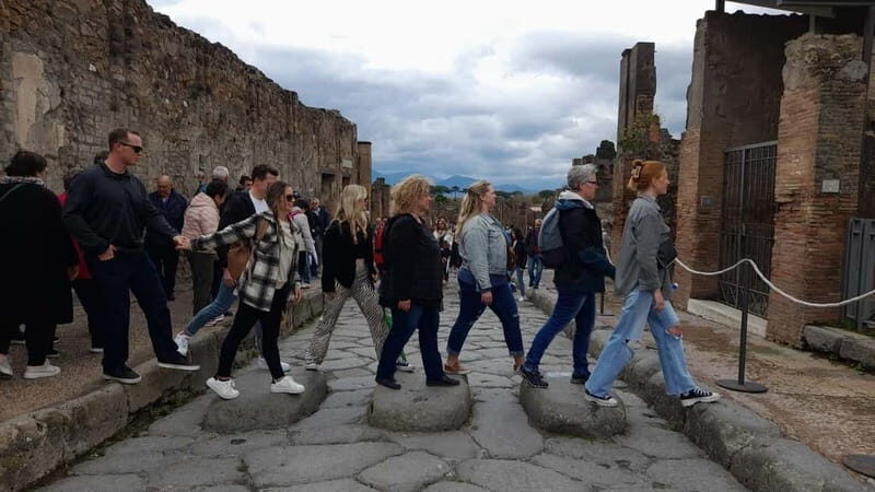 Naples: Pompeii & Herculaneum Tour w/Lunch and Wine Tasting - Practical Details