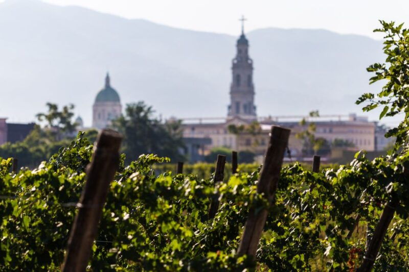 naples-pompeii-wine-tasting-with-lunch