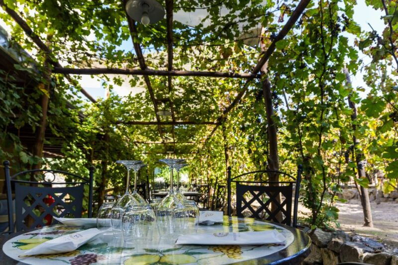 naples-pompeii-wine-tasting-with-lunch