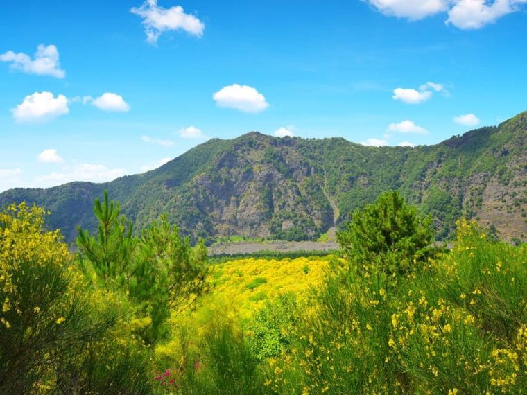 naples-port-_herculaneum-vesuvius-pompeii-private-trip