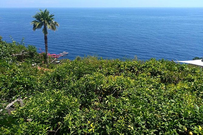 naples-port-tour-sorrento-and-pompeii-and-overview-of-positano