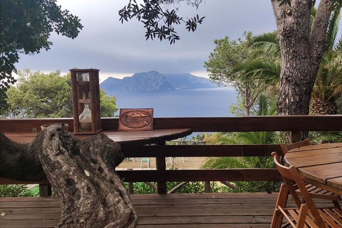 naples-port-tour-sorrento-and-pompeii-and-overview-of-positano