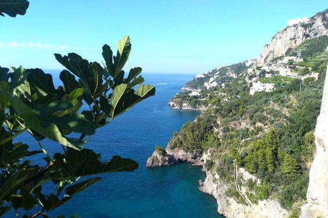 naples-port-tour-sorrento-and-pompeii-and-overview-of-positano