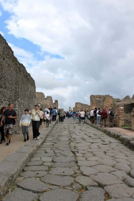 Naples: Private Pompeii & Vesuvius Tour with Driver - Why Choose This Tour?  