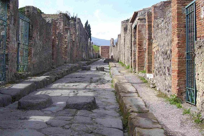 naples-shore-excursion-pompeii-half-day-trip-from-naples