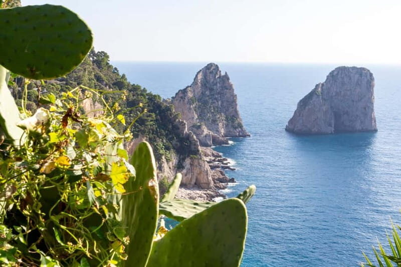 Naples: Sun, Sea, and Swim Capri and Positano Dream Cruise - An Overview of the Experience