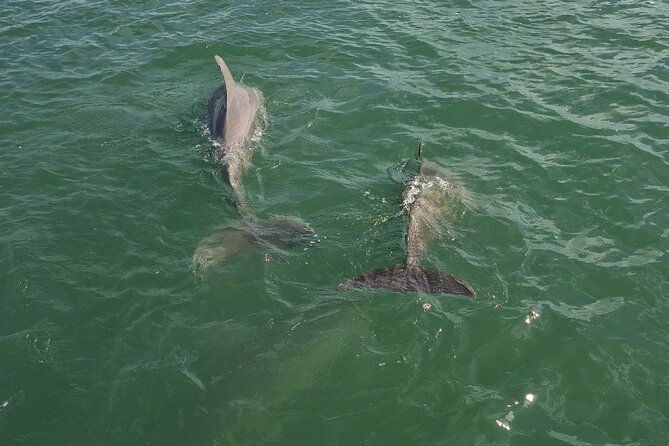 naples-to-keewaydin-your-luxury-water-shuttle-with-all-amenities-2