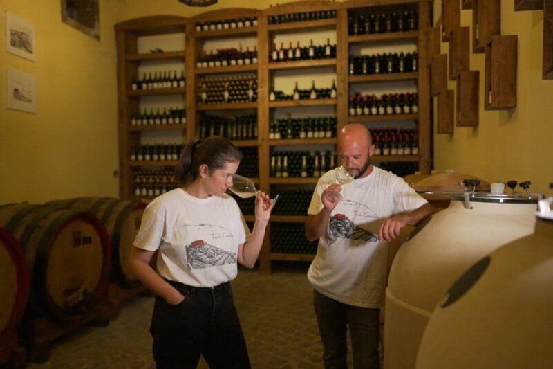 naples-tuk-tuk-experience-views-and-vineyards