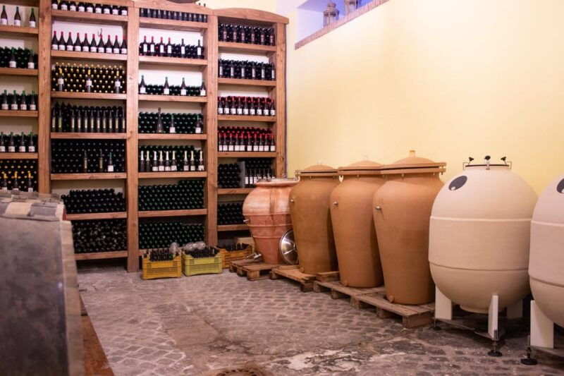 naples-tuk-tuk-experience-views-and-vineyards