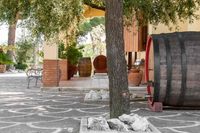 naples-tuk-tuk-experience-views-and-vineyards