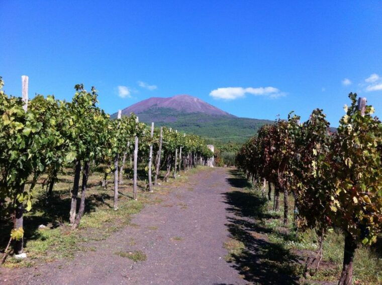 naples-vesuvius-half-day-trip-with-lunch-and-wine-tasting