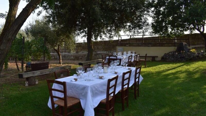 naples-winery-tour-wine-tasting-on-astroni-crater