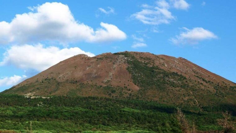 naples-winery-tour-wine-tasting-on-astroni-crater