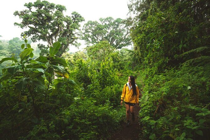 Napuru Waterfalls - Practical Considerations and Tips