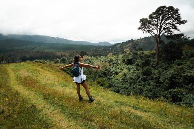 Napuru Waterfalls - Who Should Consider This Tour?
