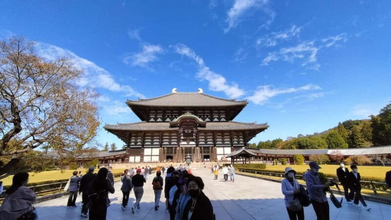 Nara: 3-Hour Guided Tour with Deer, Great Buddha & Shrines - Who Should Book This Tour?