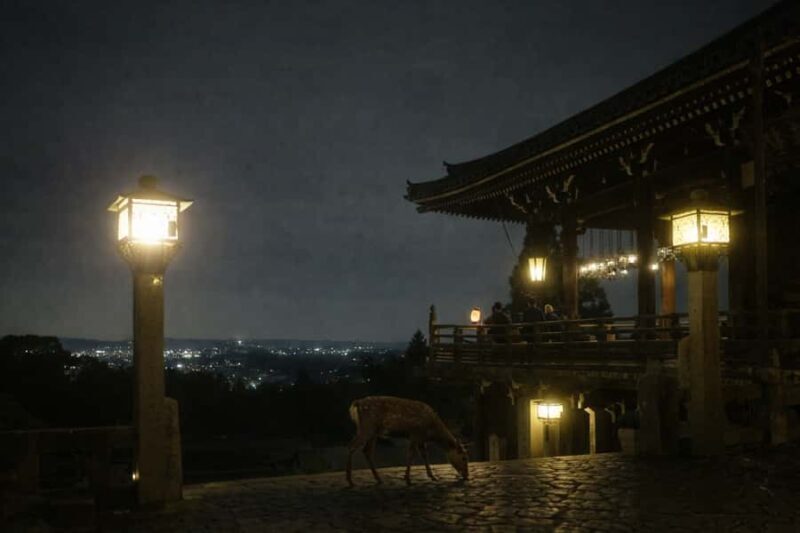 Nara After Dark: Sacred Deer, Lantern Walk with Hidden Views - Practical Details and Value