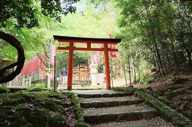 Nara and kyoto adventures private vehicle tour - The Sum Up