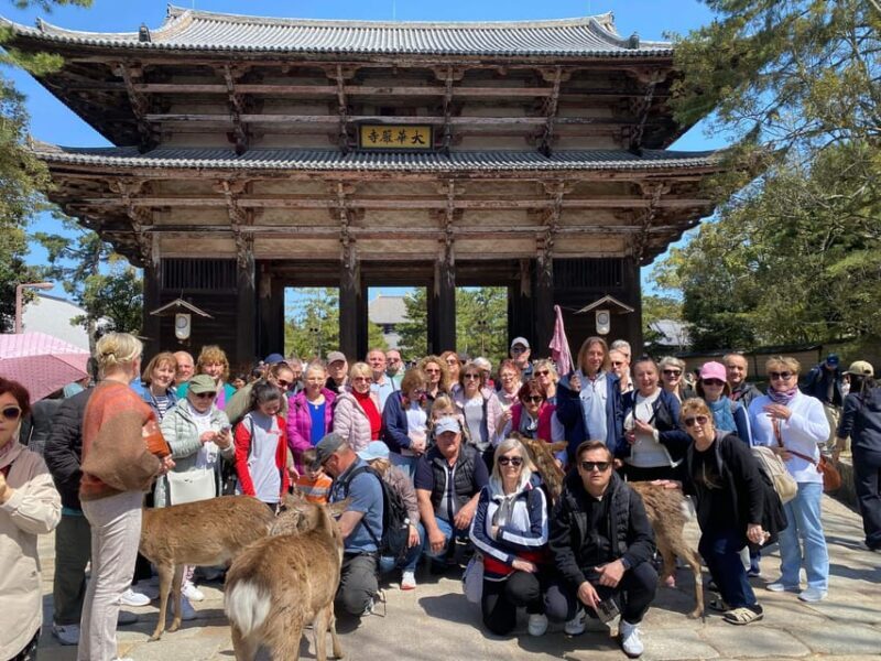 Nara and Kyoto Tour - Transportation and Logistics