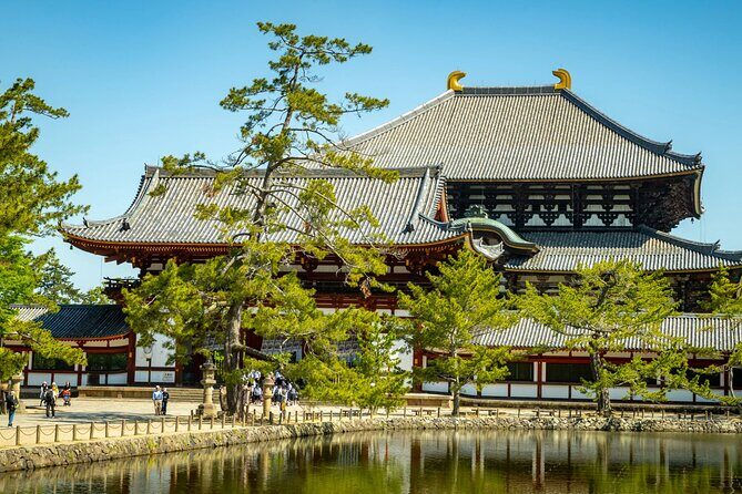 Nara and Osaka Tour from Osaka or Kobe Port - Key Points