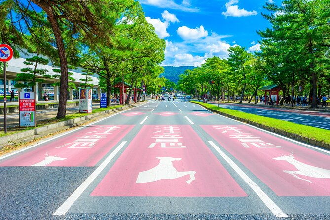 nara-and-uji-1-day-private-trip
