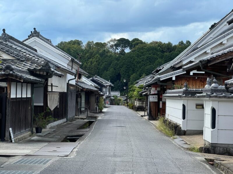 Nara: Asuka, Ancient Capital & Future Heritage Private Tour - Who Would Enjoy This Tour?