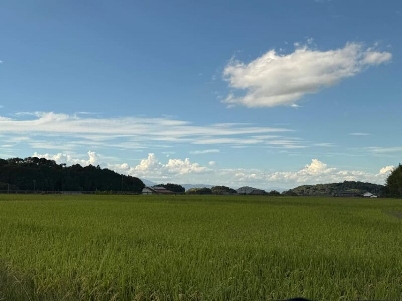 nara-asuka-village-private-tour-oldest-temple-in-japan