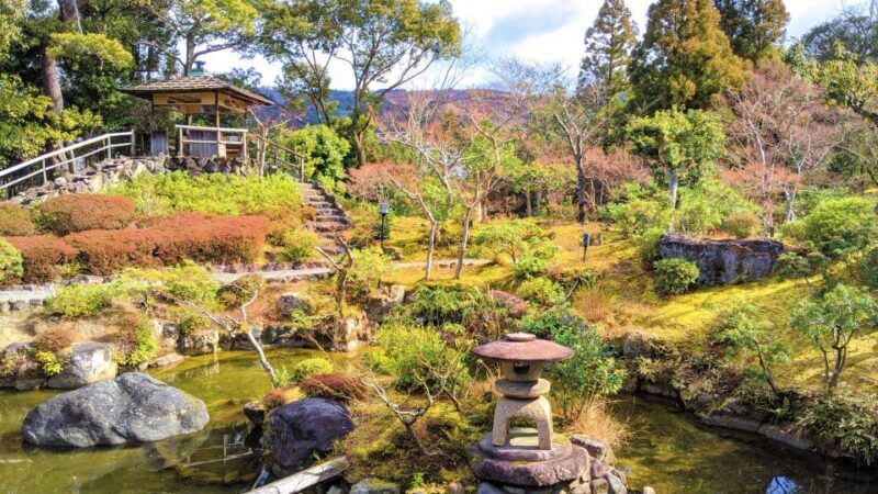 Nara: City Highlights Shared Group or Private Bike Tour - Why Choose the Nara Bike Tour?