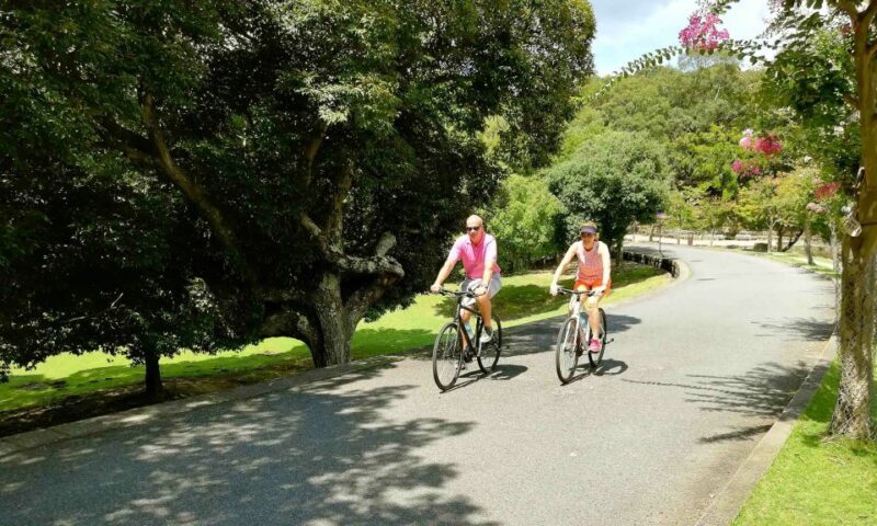 Nara: City Highlights Shared Group or Private Bike Tour - Who Will Love This Tour?