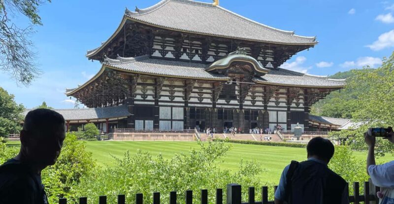 Nara City Tour | Explore Temples, Park & Local Highlights - Interaction with the Deer