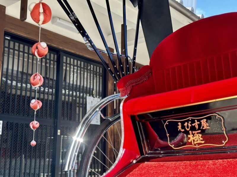 Nara: Cultural Heritage Tour by Rickshaw - Final Thoughts